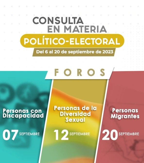 Consulta en Materia Política-Electoral