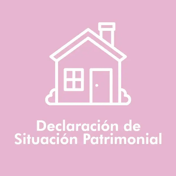 Declaración patrimonial