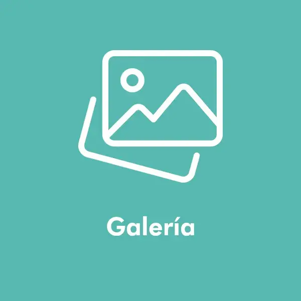 Galeria